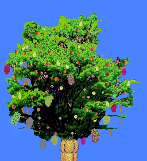 Product picture Multi Fruits Tree Image